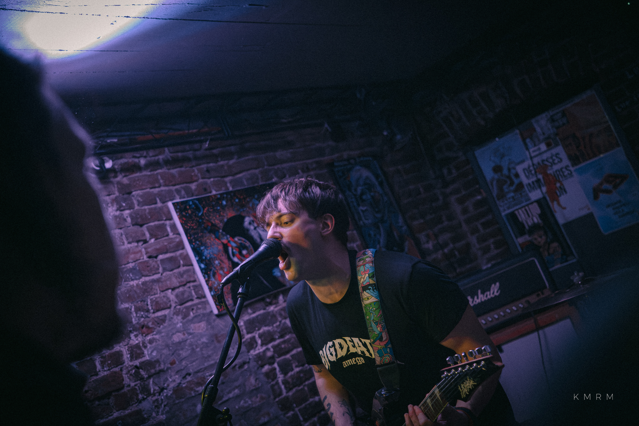 BillTheDog Monkey - Photo 16