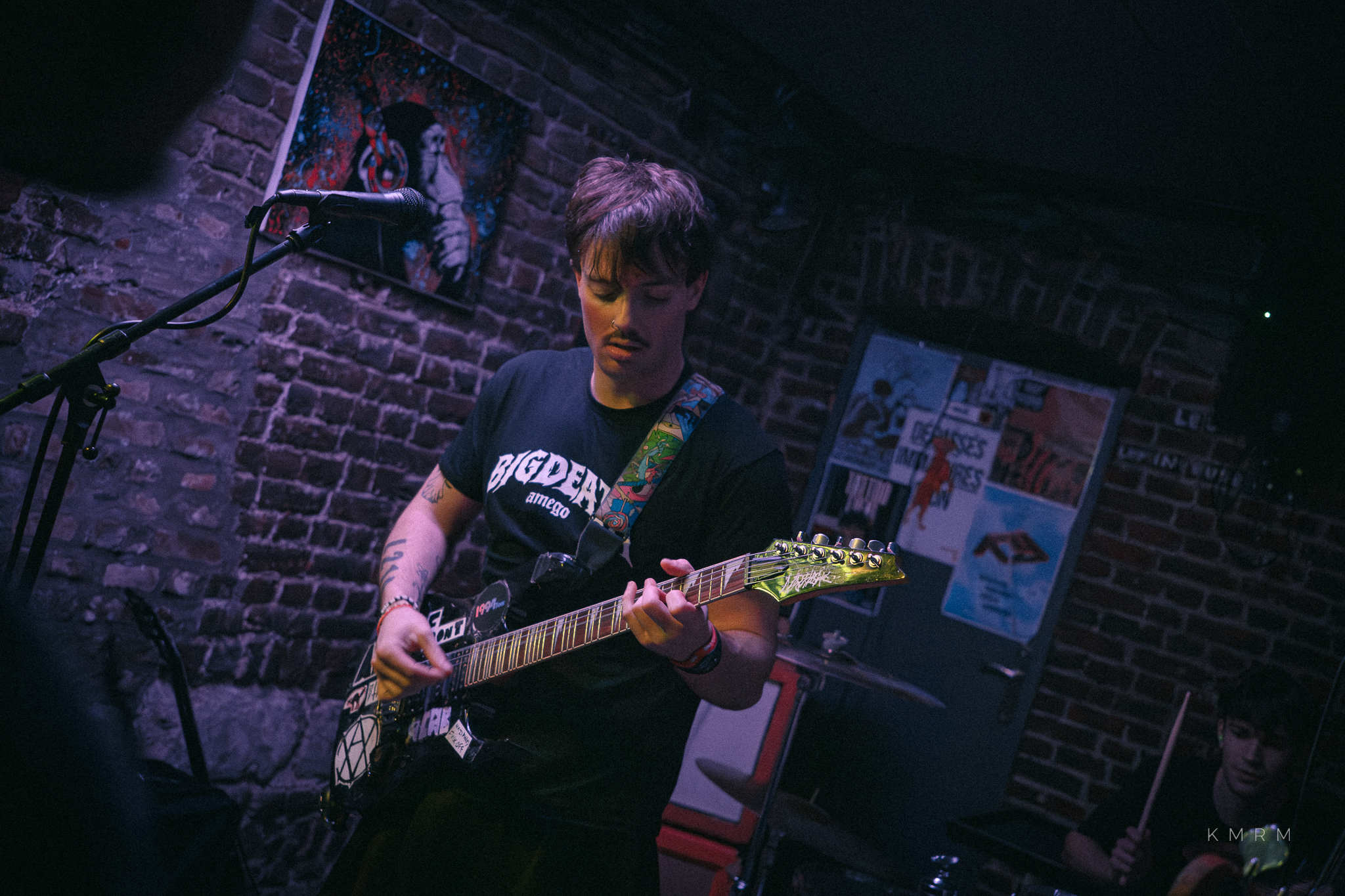 BillTheDog Monkey - Photo 8