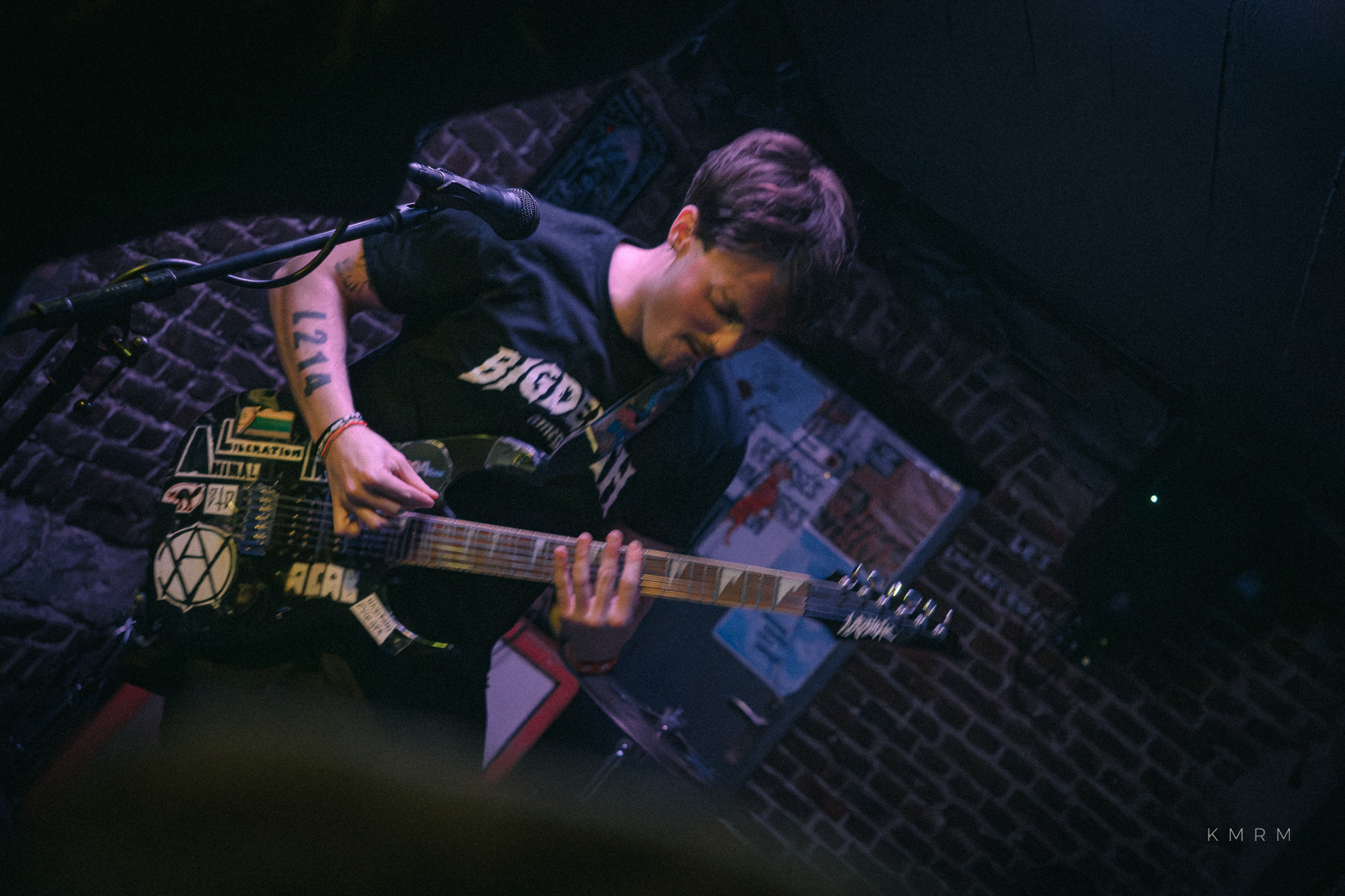 BillTheDog Monkey - Photo 10