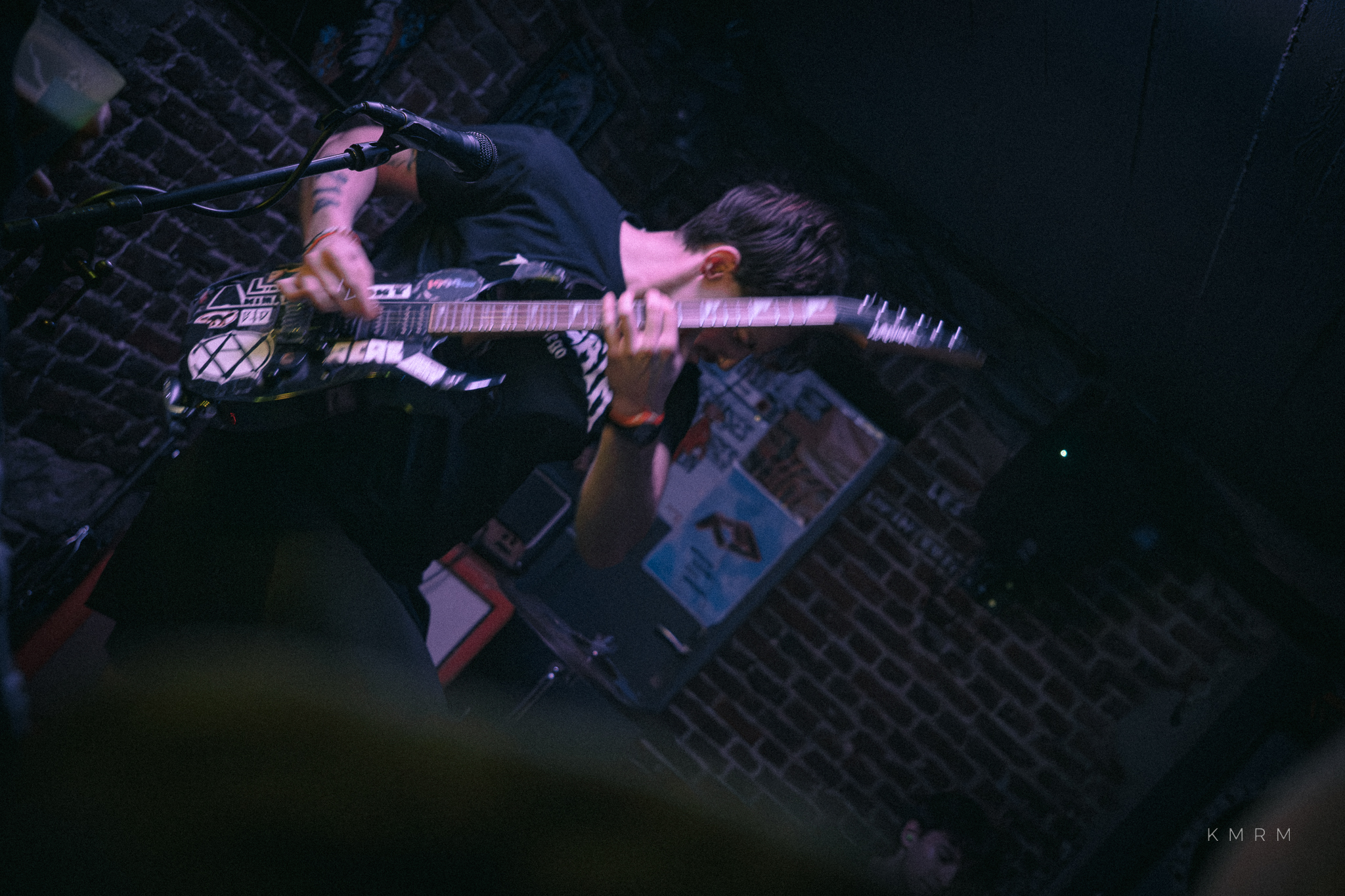 BillTheDog Monkey - Photo 0