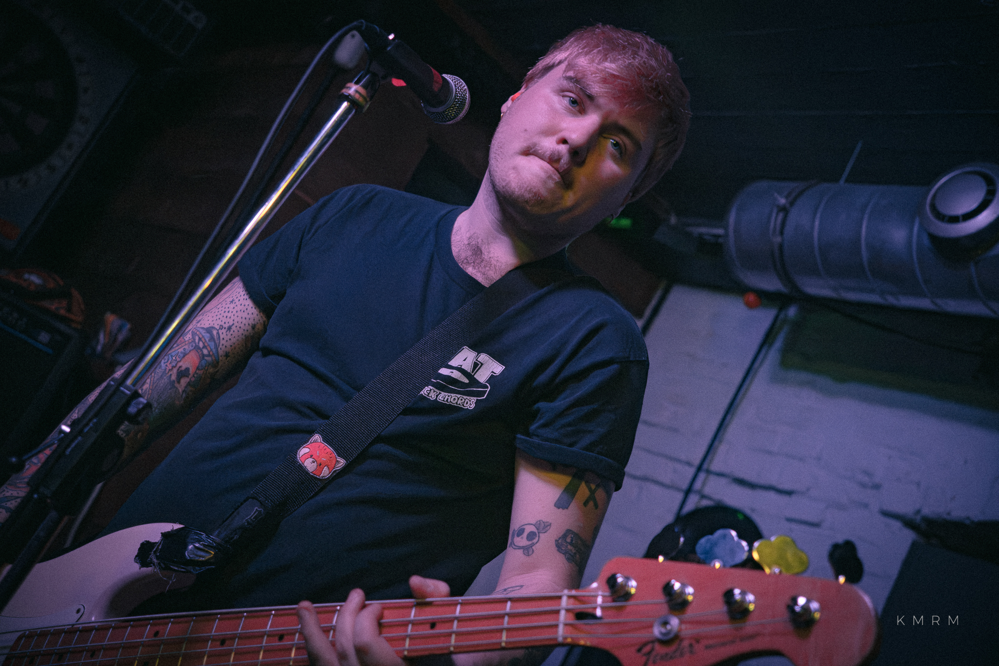 BillTheDog Monkey - Photo 6