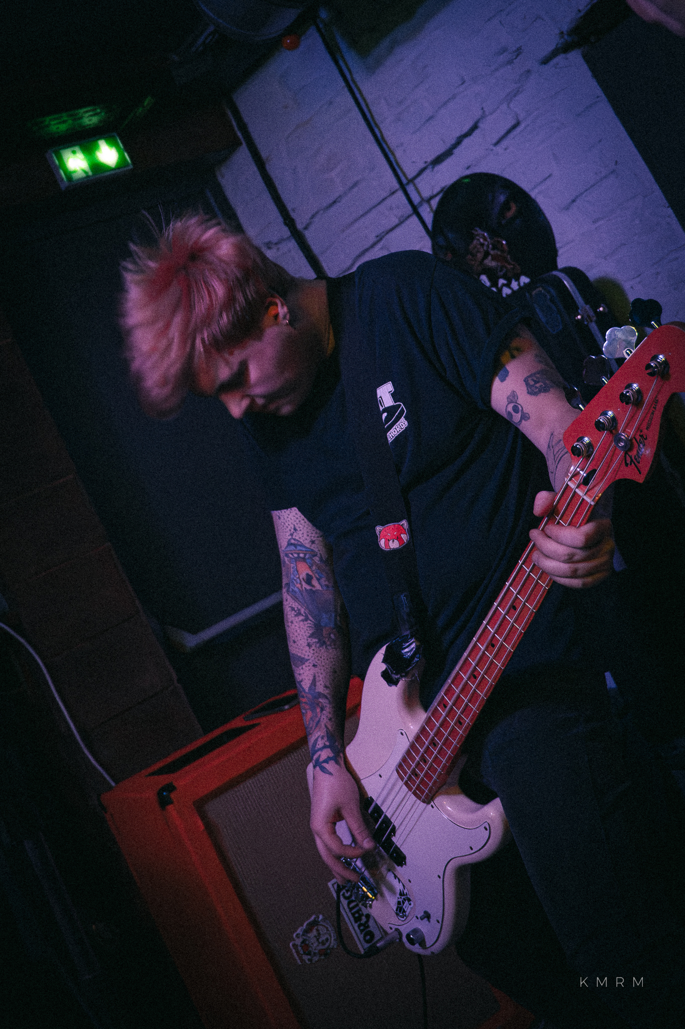 BillTheDog Monkey - Photo 11