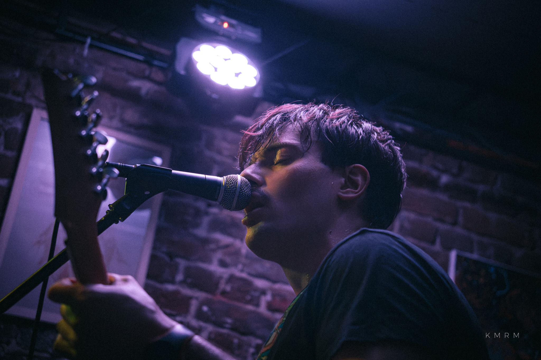 BillTheDog Monkey - Photo 4