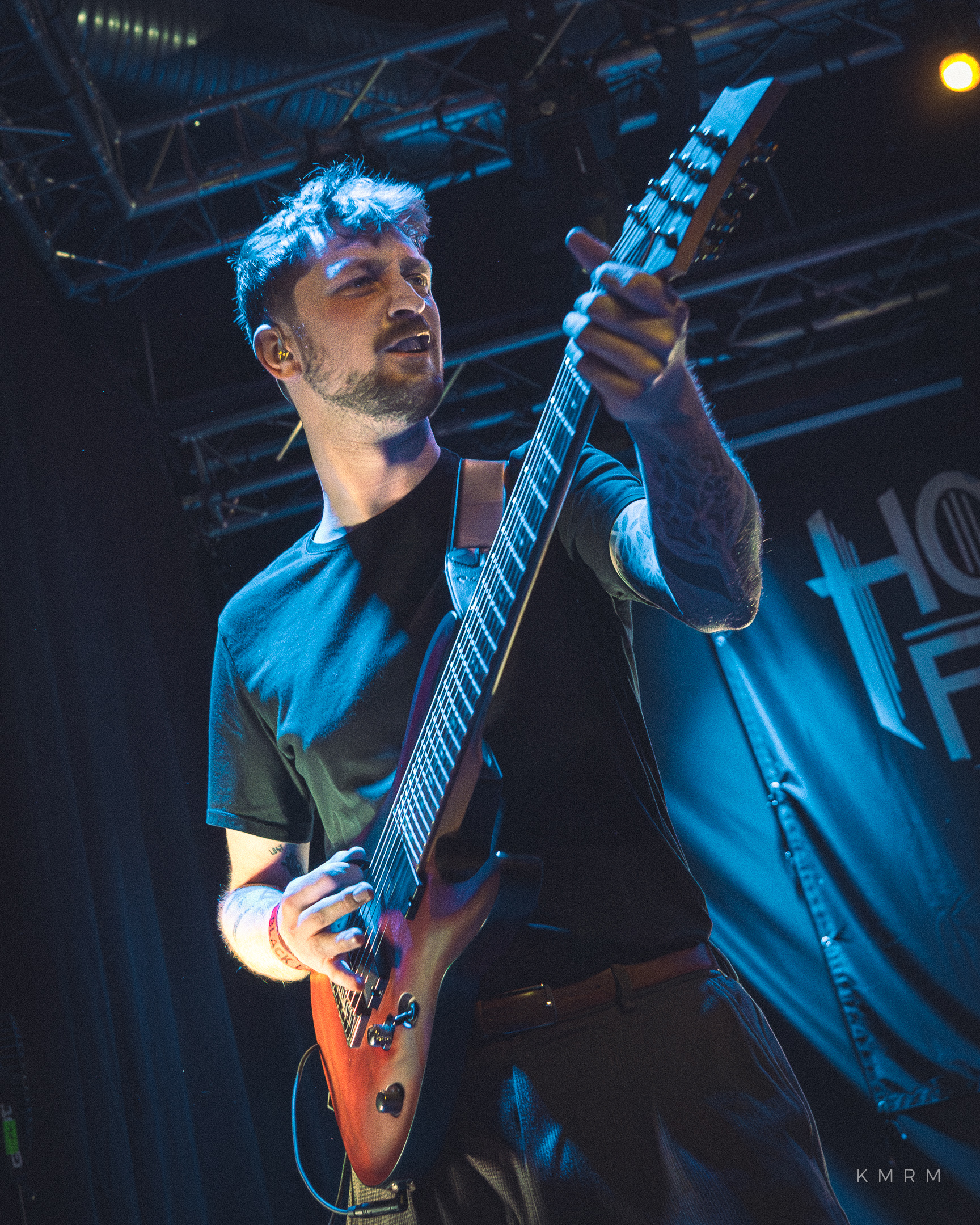 MRWL BlackLab - Photo 1